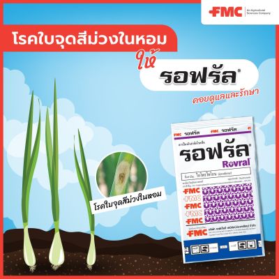 รอฟรัล   ไอโพรไดโอน ( Rovral  iprodione) สารป้องกันกำจัดโรคพืช ใน หอมหัวใหญ่ ข้าว คะน้า เช่น โรคใบจุด ใบจุดสีม่วง โรคใบกาบแห้ง สาเหตุจากเชื้อรา  ( เชื้อรา  ป้องกัน กำจัด ศัตรูพืช ปุ๋ยเคมี เคมีเกษตร  พงษ์เกษตรอุตรดิตถ์ )