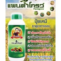 ปุ้ยปุ๋ยน้ำแพนต้าโกรว์ ตราพ่อใหญ่สัมฤทธิ์ ขนาด 500 ml. มีให้เลือก 1-20 ขวด : ปุ๋ยเคมีธาตุอาหารเสริม พืชแข็งแรง ปุ๋ยทางใบสูตร