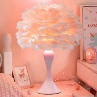 3 Colors LED Modern Feather Table Lamp Simple Bedroom Study Hotel Bedside Desk Lamp Living Room Feather Lampshade Table Lights