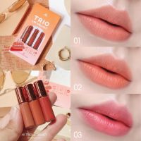 ▶️ AR ลิปจุ่ม ทรีโอ เนื้อเวลเว็ท 3สี [สินค้าแนะนำพร้อมส่ง]