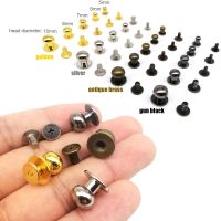 10pcs Solid Brass Copper Round Ball Head Leather Craft Bag Purse Belt Chicago Screw Back Nail Rivet Screwback Nipple Stud Spot Fasteners