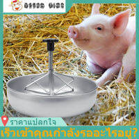 【ซื้อเลย】ชามใส่อาหารลูกหมูสแตนเลสกระปุกอาหารหมูพร้อมก้านร่องพลาสติก