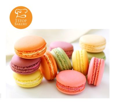 Macaron Color (DE186) 10G BOTTLE / สีผงมาการองขนาด 10 กรัม