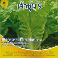 ผักกาดขาวปลีเบา เจ้าขุน 9  บรรจุ 1 กรัม