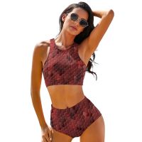 Snakeskin Bikini Swimsuit Belt In Bulk Elegant Swimwear Pool Two Piece Big Chest Bathing Suit