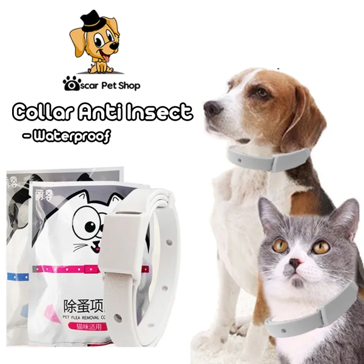 Dog Flea Collar On Cat atelieryuwa.ciao.jp