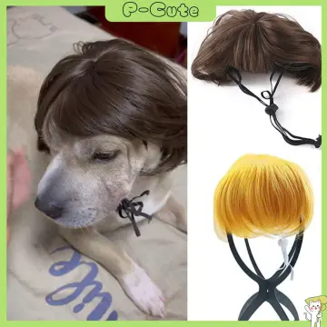 Pet Hair Wigs