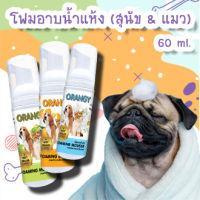 !พร้อมส่ง! โฟมอาบน้ำแห้งสุนัขแมว 3 กลิ่น (ส้ม แอปเปิ้ล แป้งเด็ก) ลดเชื้อแบคทีเรีย เชื้อรา ผิวชุ่มชื้น ดับกลิ่นตัว ไม่เหนียวเหนอะ ขนาด 60 ml.