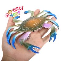 Monkey Toys - โมเดลสัตว์ Crab ปูม้า ก้ามฟ้า ขนาด 17.50 CM (จากหาดใหญ่)