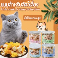 【Damaiii】ขนมแมว Freeze Dried ขนมแมว อกไก่ อกเป็ด แซลม่อน ทำจากเนื้อสัตว์แท้ 100% บำรุงขน ปลอดภัย สุขภาพดี