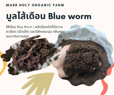 ปุ๋ยมูลไส้เดือน(Blue worm) 100% ของแท้ เนื้อละเอียด น้ำหนัก 950 กรัม