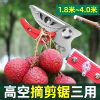 Long handle Fruit Scissors Picker [คลังสินค้าพร้อม] กรรไกรตัดหนีบผลไม้ด้ามยาว กรรไกรด้ามยาว กรรไกรหนีบกิ่งไม้ ปากแดง ยืดยาวสุด3เมตร กรรไกร กรรไกรตัดกิ่ง กรรไกรแต่งกิ่งไม้ ตัดกิ่งไม้ ตัดกิ่งไม้สูง Gardening Tools