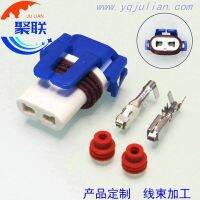 Auto 2pin ceramic plug 12059181 wiring sealed electrical waterproof connector with terminals and seals Electrical Connectors