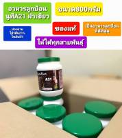 Nutribird A21 ฝาเขียว อาหารลูกป้อน สำหรับลูกนกทุกสายพันธ์ุ (แบบกระปุก 800g.) ของแท้