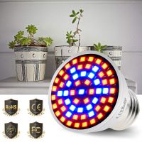 หลอดไฟ LED Phyto สำหรับปลูกพืชไฮโดรโปนิกส์แบบเต็มสเปกตรัมหลอดไฟ E27 E14 Grow MR16 GU10 B22หลอดไฟ LED ไฟเมล็ดพืชเต็นท์ภายในอาคาร