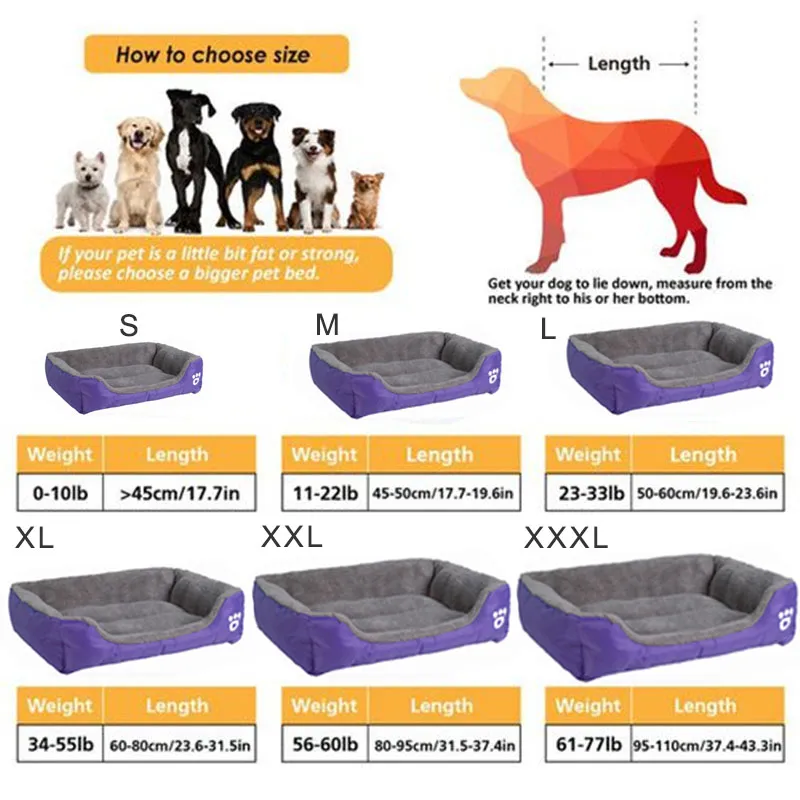 what size dog bed do i need for a labrador