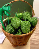 มะระหัวใจ เขียว (Valentine gourd) กินอร่อย ขมน้อย เนื้อหนา รูปทรงคล้ายหัวใจ น่ารัก