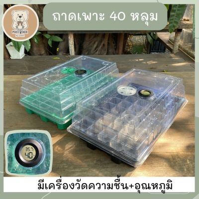 ถาดเพาะเมล็ดพร้อมเครื่องวัดความชื้น+อุณหภูมิ 40 หลุม  พร้อมฝาระบายอากาศ ถาดเพาะกล้า กล่องเพาะเมล็ด ถาดเพาะชำ ถาดชำกิ่ง