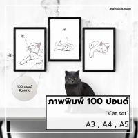 ภาพแมว,รูปแมว,รูปตกแต่ง,ภาพพิมพ์,กระดาษ100ปอนด์,ขนาดA3,A4,A5,ภาพติดผนัง,รูปติดผนัง,ทาสแมว,แมว,Cat set 2