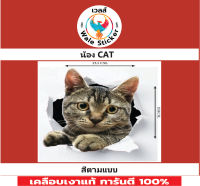 ?สติกเกอร์ติดรถมอไซต์รุ่น ??น้องแมว CAT??