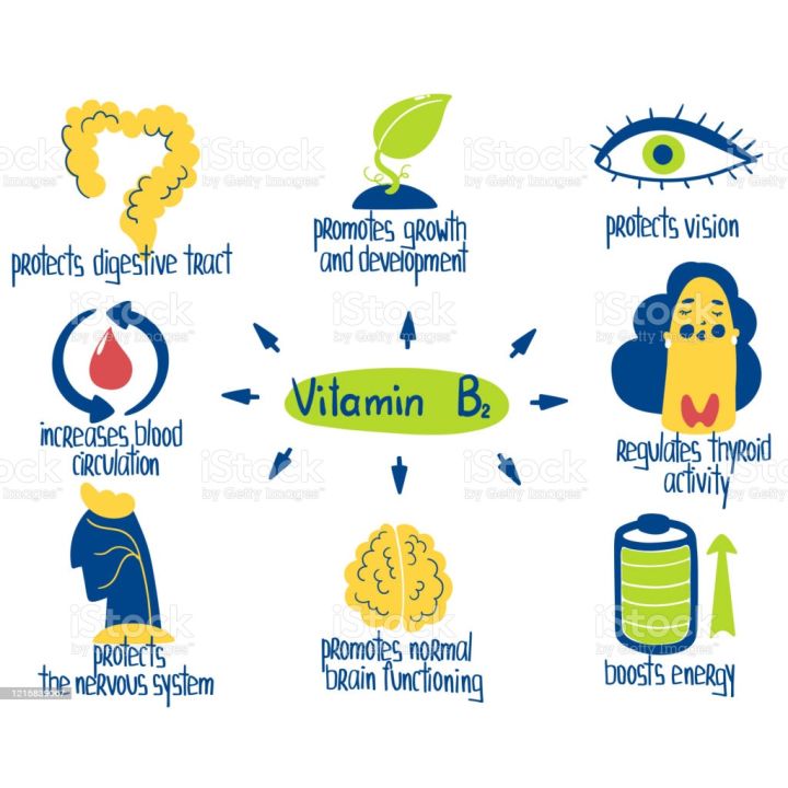 วิตามินบี-2-vitamin-b-2-100-mg-100-coated-tablets-natures-bounty-บี2-b2-b-2