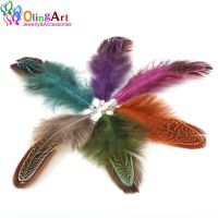 【CW】 OlingArt Colorful Dyeing Feathers Tassel 12pcs Earrings Choker Jewelry Making  Keychain Pendants