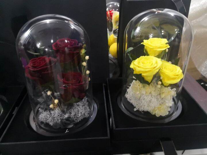 Preserved Red 3 heads Rose Flower in Glass Dome will last for 5 years