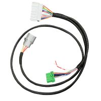 Chassis Special Adapter D Series Wiring Harness for Honda Civic Si B Series 99-00 EK