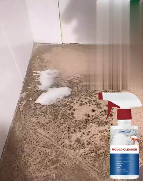 60ml Mildew Remover Spray Foam Deodorizing Decontaminating kecekapan