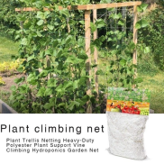 Trellis Net, Heavy-Duty Polyester Trellis Net for Climbing Fruits and