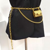 ∏▨ Luxury Designer Chain Belts for Women 39;s Dress Jeans Trousers Mini Vintage Waist Gold Metal Bag Tassel Body Jewelry Accessories