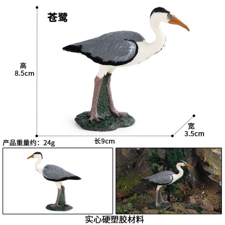 simulation-model-of-birds-eagle-owl-wildlife-seagull-peregrine-falcon-bald-eagles-children-cognitive-toys