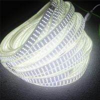 Ca 220V 276Leds/M 180Leds/M โคมไฟแถบไฟ LED SMD 2835โคมไฟ Tre ไฟล์ Corda Flessibile ซึมผ่านไม่ได้5050แถบไฟแถบไฟ Led ต่อการตกแต่ง