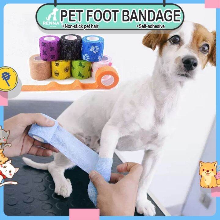 Dog shoes hot sale lazada