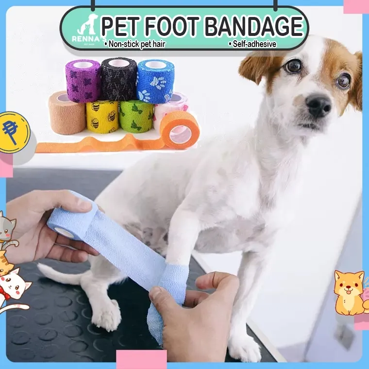 Dog best sale sock bandage