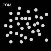 [HOT DUlQWBVNN 560] 1.588มม. 2มม. 2.381มม. 2.5มม. 2.778มม. 3มม. OD สีขาว Polyformaldehyde POM Hard พลาสติกแข็ง G1วาล์ว Caster แบริ่ง Solid Bead Ball