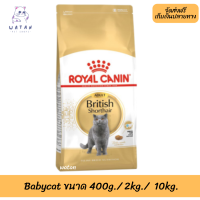 ? พร้อมส่งฟรี!! ? Royal Canin แมวโต สูตร British Shorthair ?บริการเก็บเงินปลายทาง