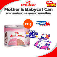 Royal Canin Mother &amp; Babycat 195g กระป๋อง ขนาด 195 กรัม สำหรับแมวท้อง แม่แมว และ ลูกแมวช่วงหย่านม - 4 เดือน