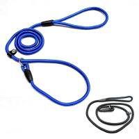 Practical 1.0x140cm Pet Dog Nylon Adjustable Loop Training Lead Collar Leash Traction Rope (Blue)