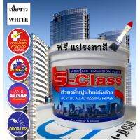 Pro +++ สีรองพื้นปูนใหม่กันด่าง เอสคลาส ขนาด 1/4กล.(0.875 ลิตร) แปรงทาสี ราคาดี อุปกรณ์ ทาสี บ้าน แปรง ทาสี ลายไม้ อุปกรณ์ ทาสี ห้อง เครื่องมือ ทาสี