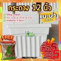 โปรWOW 5แถม5 ฟรีกาบมะพร้าวสับ กระถางต้นไม้ 12” กระถางขาว กระถางปลูกต้นไม้ กระถางพลาสติก เนื้อดี สวย มีรู เก็บเงินปลายทาง