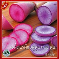 15 เมล็ด แรดิชบลูมูน เรดมูน Radish Bluemoom &amp; Redmoon เมล็ดแรดิช แรดิช เมล็ดพันธุ์แรดิช