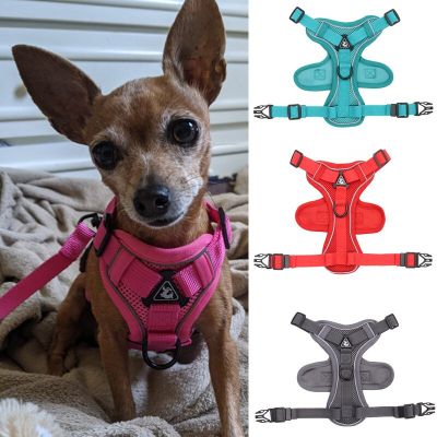 Reflective Puppy Dog Vest Harnesses for Small Medium Dogs Adjustable Pet Harness and Leash Set Bichon Pomeranian mascotas Chain Leashes