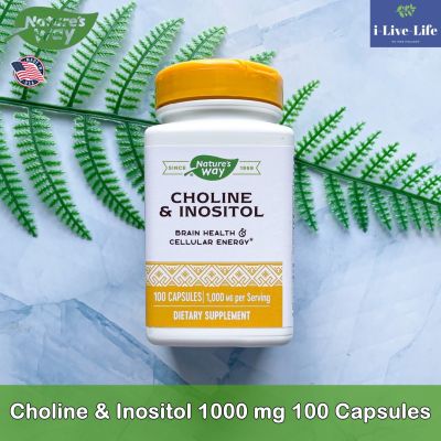 โคลีน และ อิโนซิทอล Choline &amp; Inositol 1000 mg 100 Capsules - Natures Way