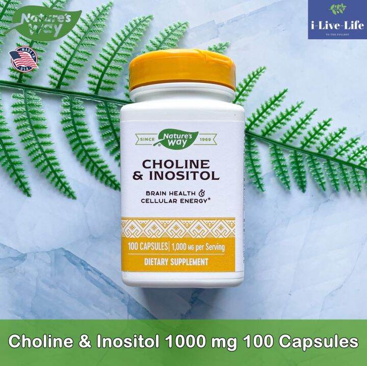 โคลีน-และ-อิโนซิทอล-choline-amp-inositol-1000-mg-100-capsules-natures-way