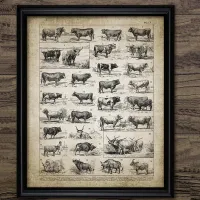 Antique Bull Breeds Print Beef Cattle Ranch Art Vintage Poster Cow Breeds Farming Wall Art Canvas Painting Picture Home Decor