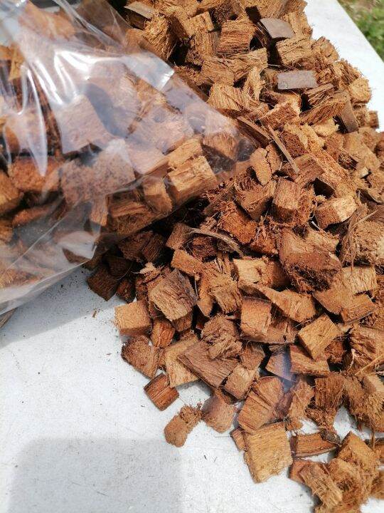 coco chips mice rat bedding for ball phyton bedding tarantula geko