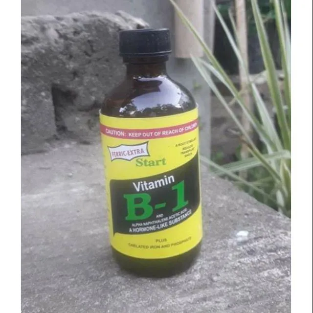 Rooting Hormone START Vitamin B-1 For Orchids Or Any Plants | Lazada PH