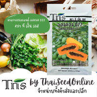 TNS เมล็ดพันธุ์แบบซองเล็ก มะละกอฮอลแลนด์ อองตอง077 ตรา ที เอ็น เอส