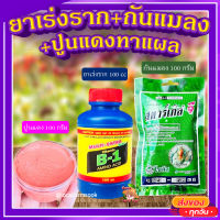 น้ำยาเร่งราก + สตาร์เกิลจี กันแมลง + ปูนแดงทาแผลต้นไม้ ? ป้องกันโรคเน่าและเชื้อรา 100กรัม?